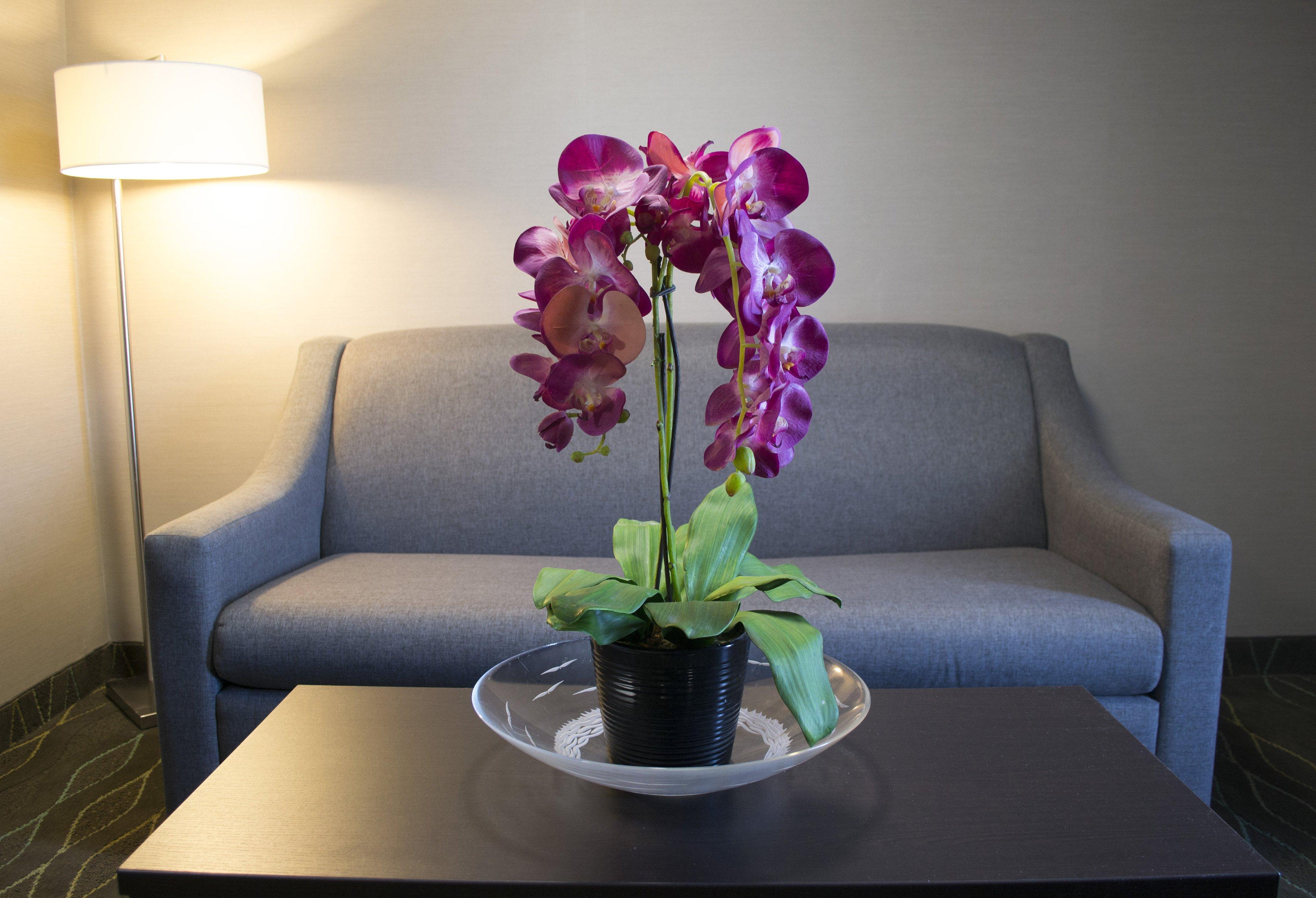 Holiday Inn Sudbury By Ihg Εξωτερικό φωτογραφία